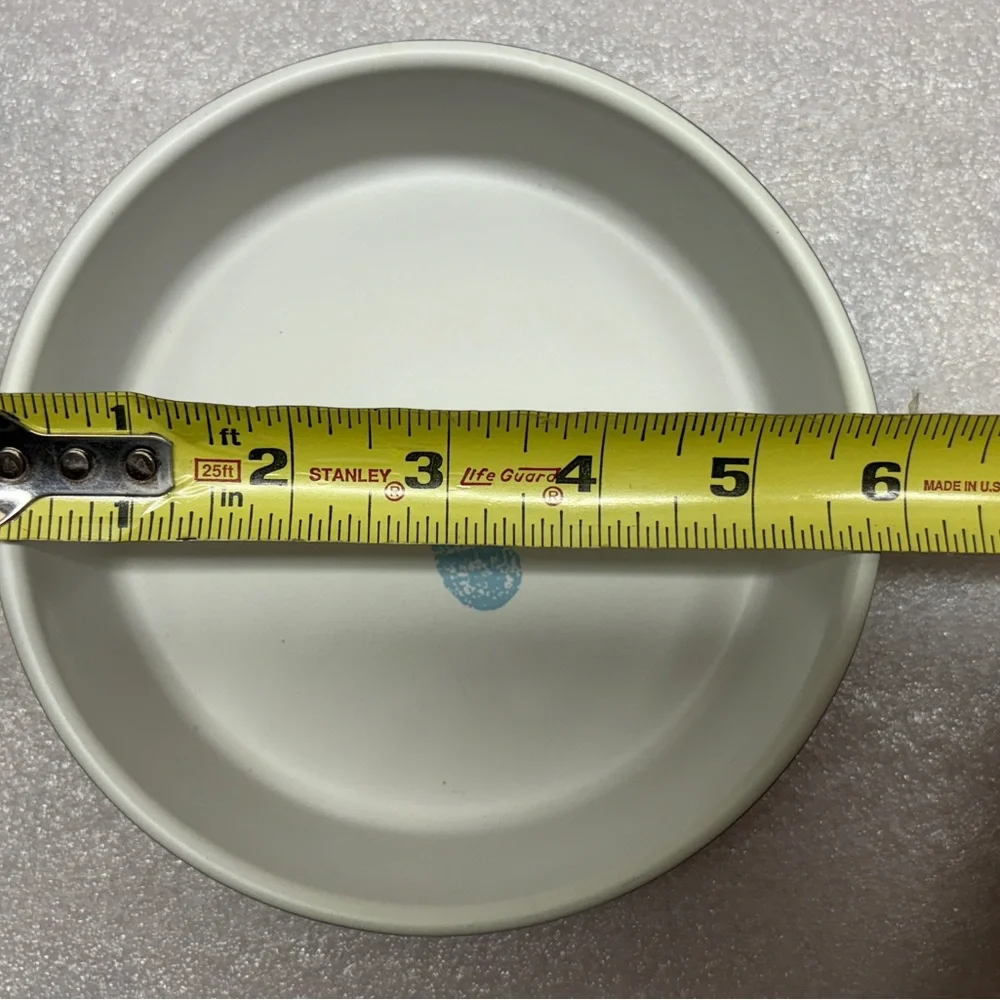 Gray Ceramic Water Bowl